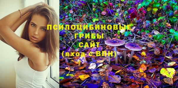 дурь Алзамай